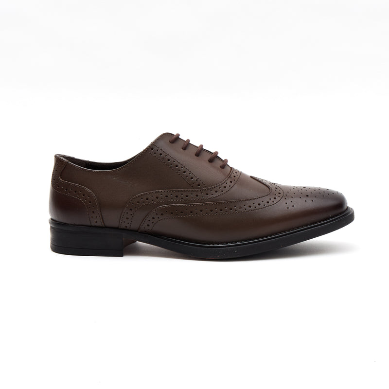 Lucini Men's Leather Brogue Shoes 30817 – Brown