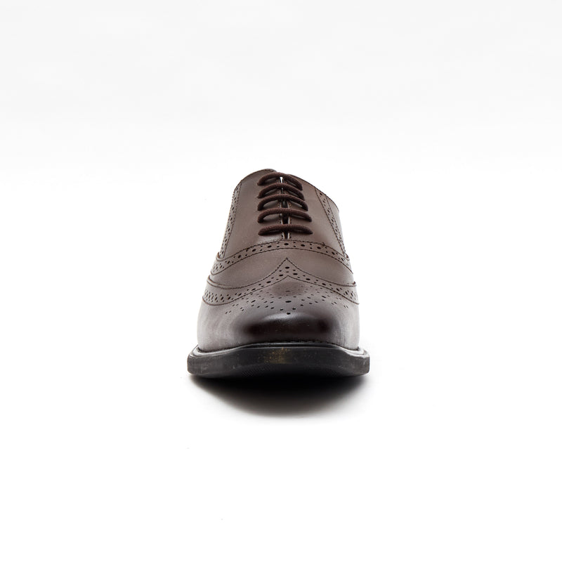 Lucini Men's Leather Brogue Shoes 30817 – Brown