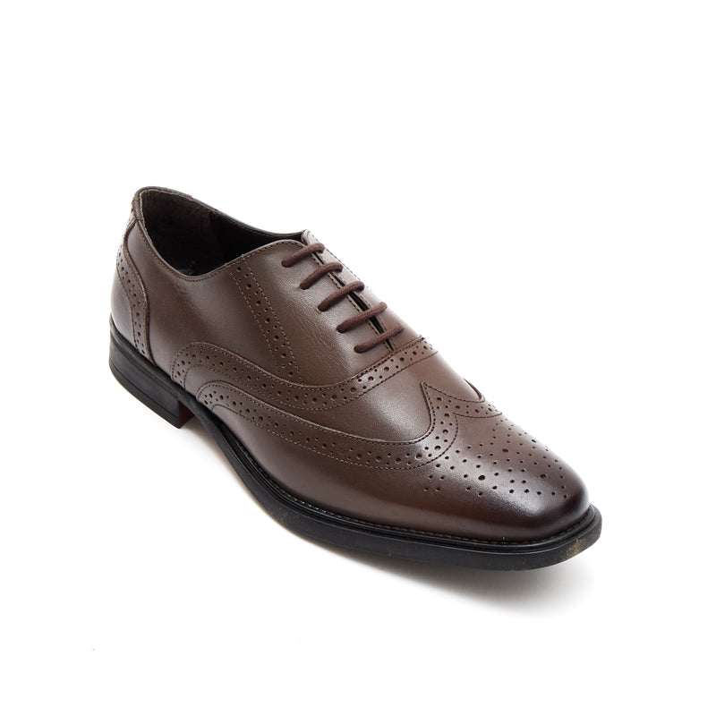 Lucini Men's Leather Brogue Shoes 30817 – Brown
