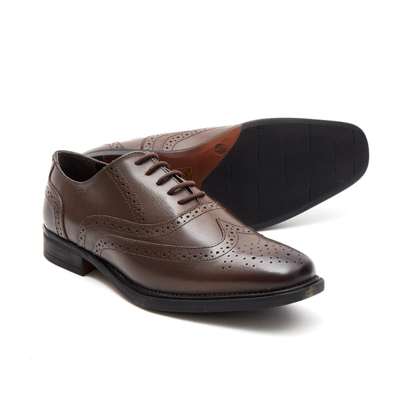 Lucini Men's Leather Brogue Shoes 30817 – Brown