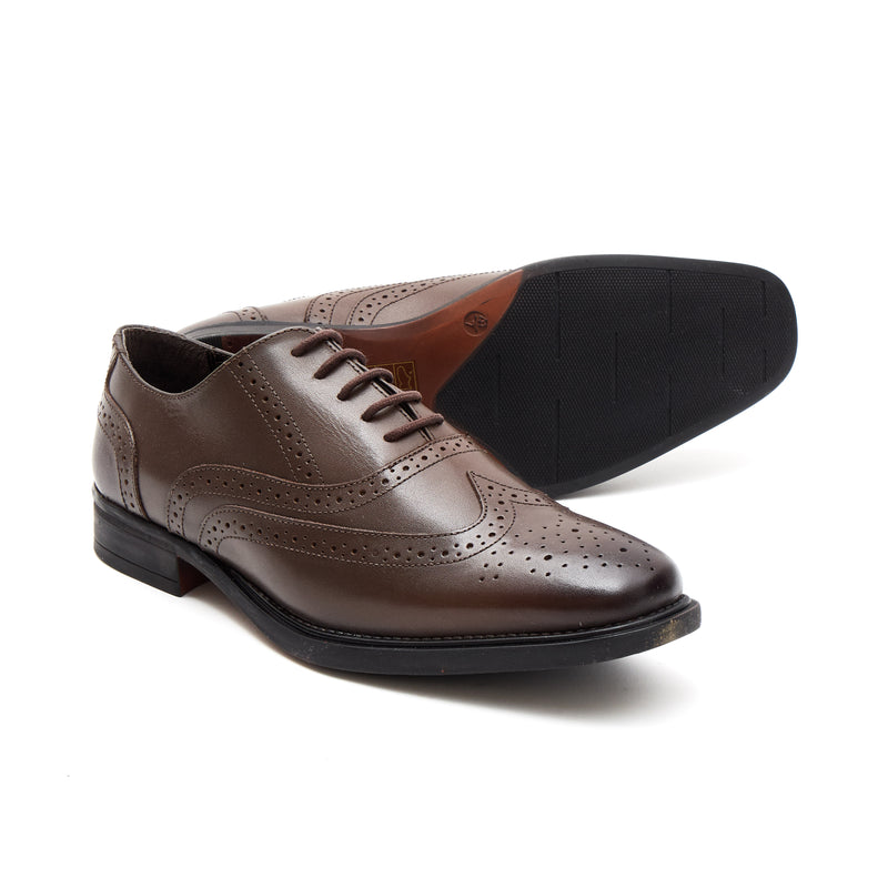 Lucini Men's Leather Brogue Shoes 30817 – Brown
