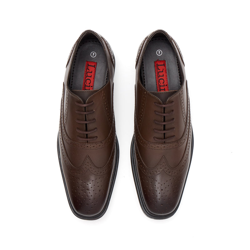 Lucini Men's Leather Brogue Shoes 30817 – Brown