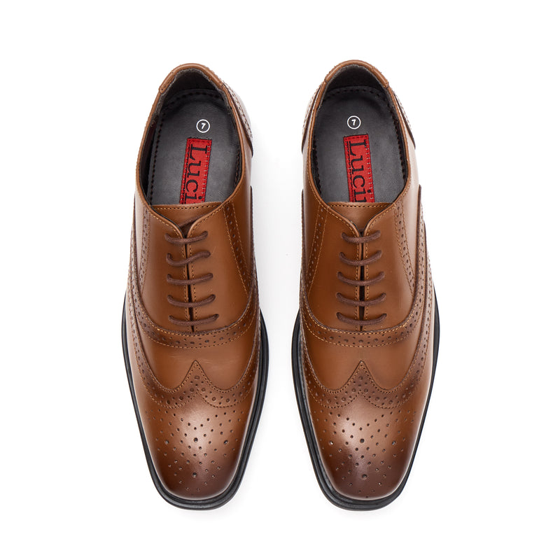 Lucini Men's Leather Brogue Shoes 30817 – Tan